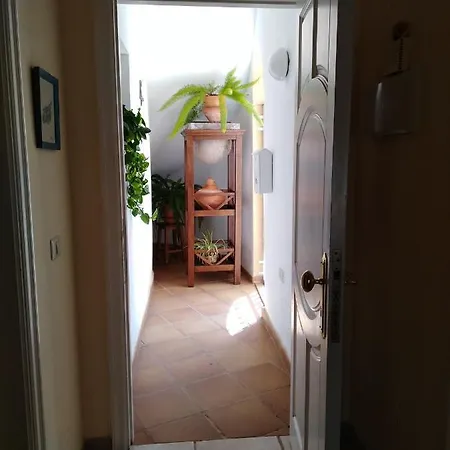 Apto. Pina De Mar Appartement Costa Adeje (Tenerife)